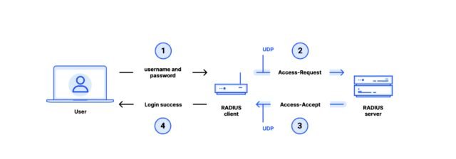 Eine detailliertere Darstellung von RADIUS unter Verwendung des Passwortauthentifizierungsprotokolls über UDP.