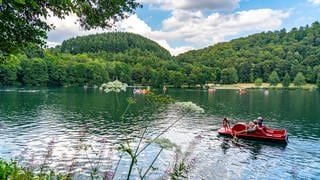 Badesee in Rheinland-Pfalz: Das Gemündener Maar ist das nördlichste der drei Dauner Maare.