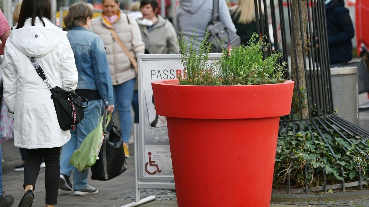 2022 glänzte nicht jeder Pflanzentopf: In einigen waren die Pflanzen verkümmert.