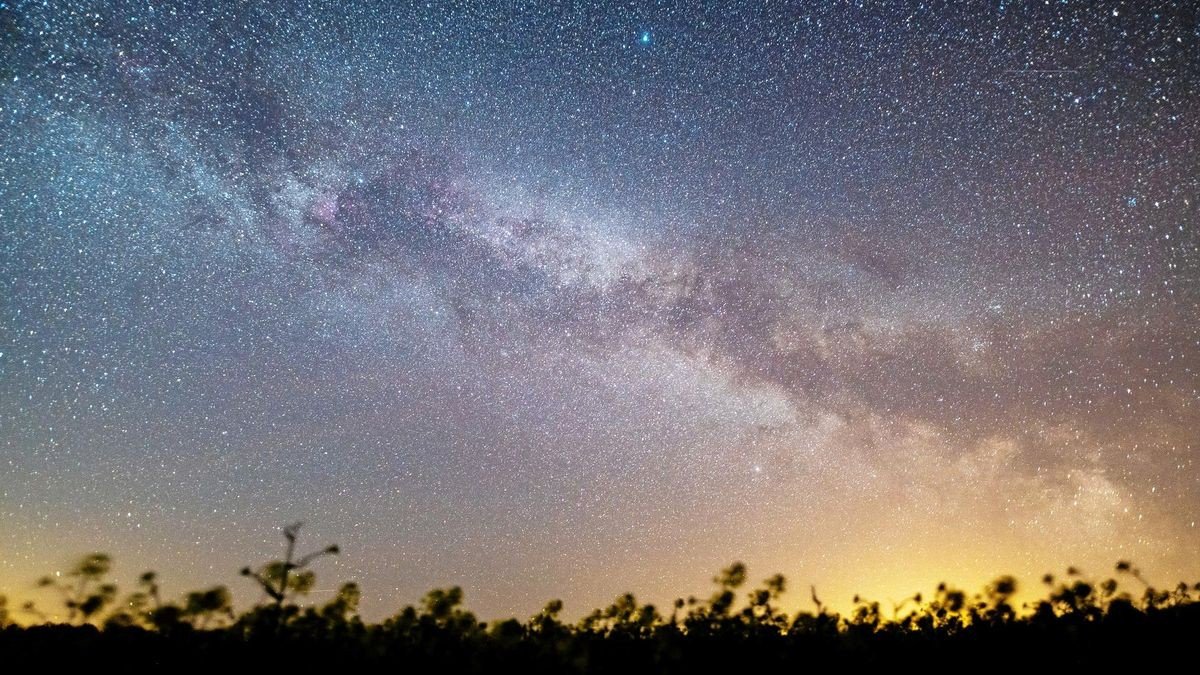 Sterne leuchten über einem Rapsfeld. Die Perseiden ziehen Mitte August wieder über den Nachthimmel. (Archiv) 