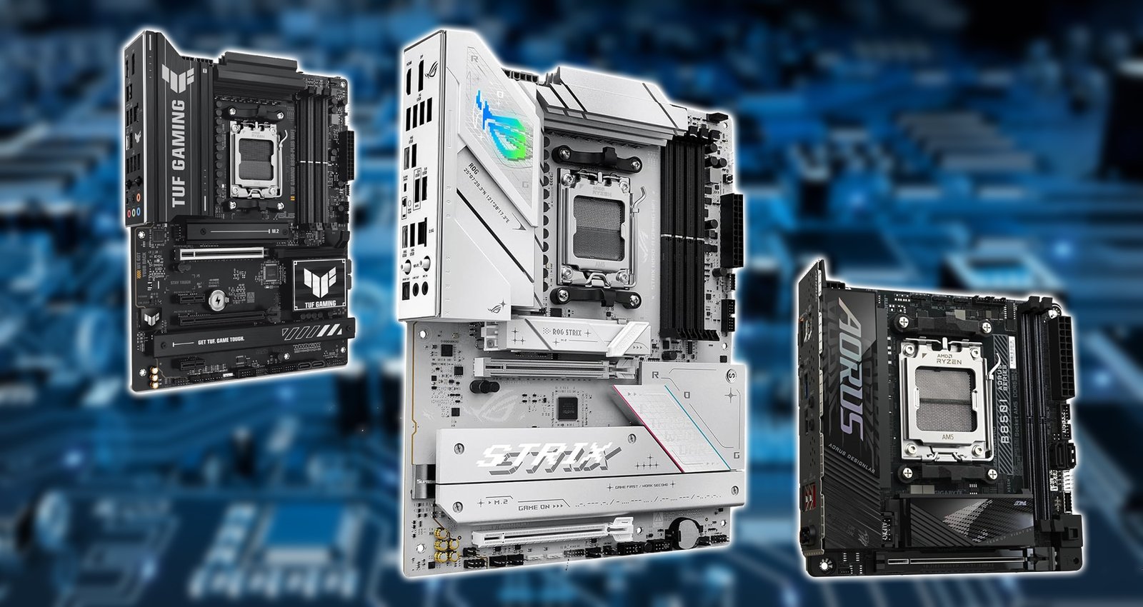 Mehrere ASUS B850-, B840- und B860-Motherboards sind beim Händler gelistet: Budgetmodelle beginnen bei 200 US-Dollar, während die Strix-Serie bis zu 387 US-Dollar kostet 1