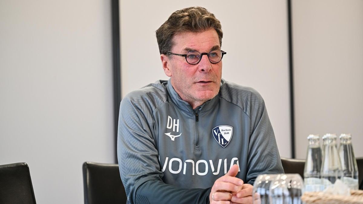 VfL-Trainer Dieter Hecking.