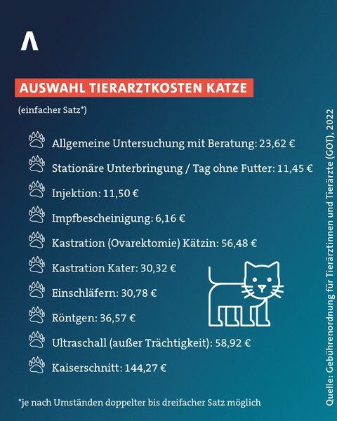 Auswahl von Tierarztkosten für eine Katze