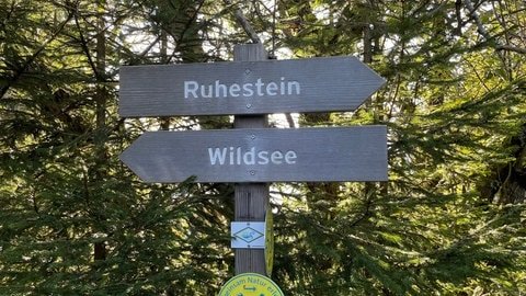 Wegweiser im Nationalpark Schwarzwald zeigt in die Richtung Ruhestein und Wildsee.