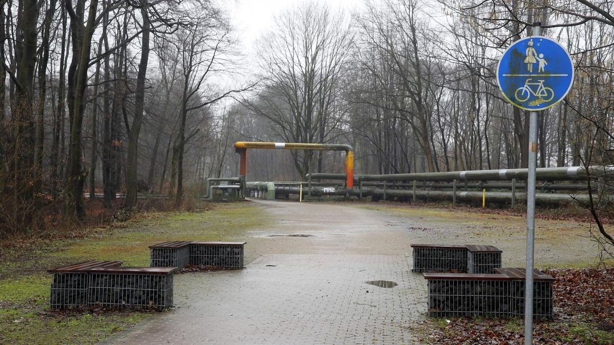 Blick in Richtung Brücke von Norden aus. Fußgänger und Fahrradfahrer teilen sich den Weg, der von Fernwärmeleitungen am Rand gesäumt ist.