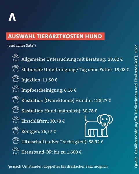 Auswahl von Tierarztkosten für einen Hund