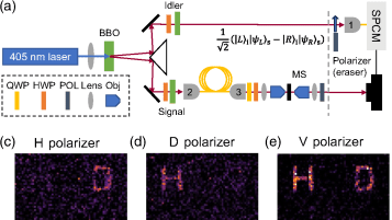 Metasurface-Fight Quantenhologramm meine Hybriden Verschr�nKung