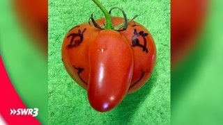 Ein lustiges Foto eines Lebensmittels, das eine Tomate mit großer Nase zeigt.