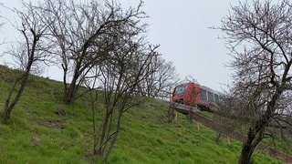 Der unterhöhlte Bahndamm bei Wachenheim. Rote Pflöcke markieren die Dachshöhlen. Die Zugstrecke zwischen Bad Dürkheim und Deidesheim muss wegen des unterhöhlten Bahndamms gesperrt werden.