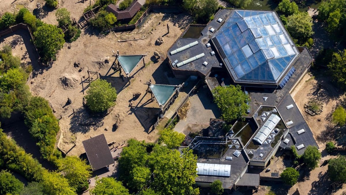 Einige Wege sind überdacht. Daher ist der Allwetterzoo Münster auch bei Regen ein beliebtes Ausflugsziel. 