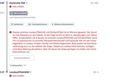 Screenshot der Webseite der Bahn mit der Info, dass wegen eines eingestürzten Dachsbaus keine Züge zwischen Landau und Winden mehr fahren